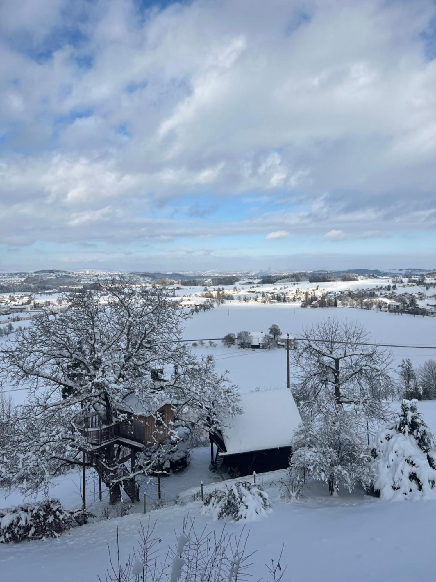 Gruenberg Apartments Gmunden Dış mekan fotoğraf