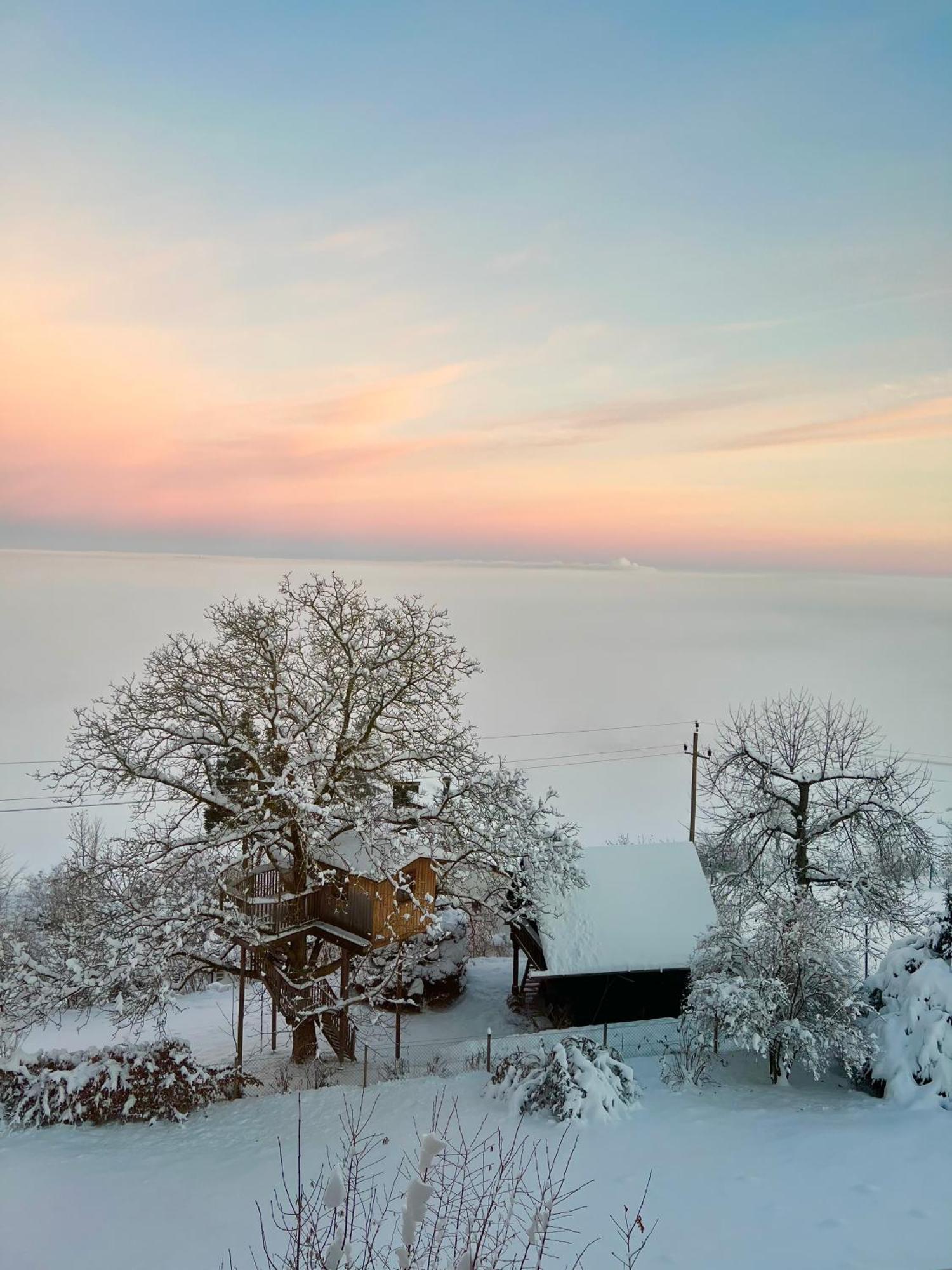 Gruenberg Apartments Gmunden Dış mekan fotoğraf